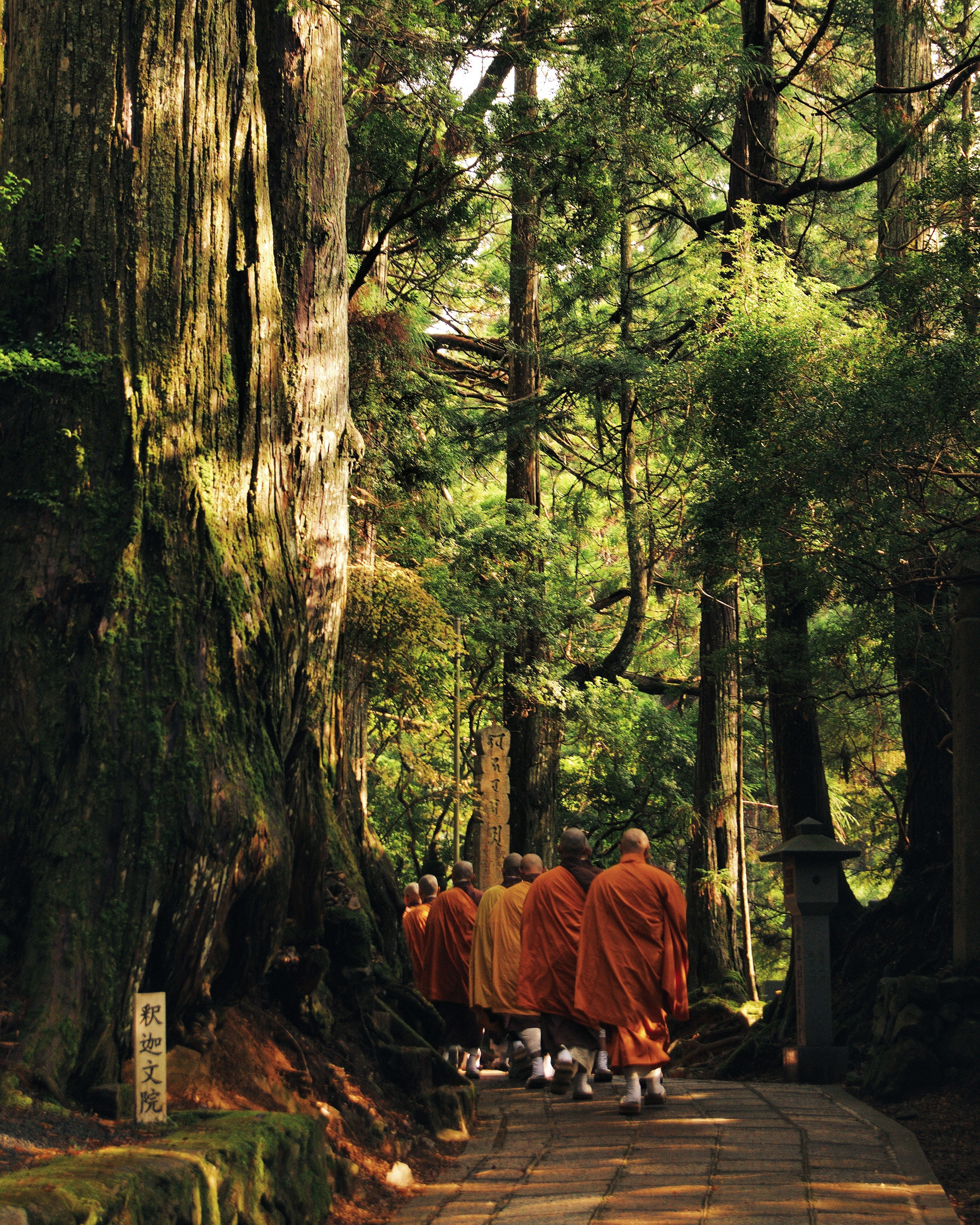 Monniken in Kōyasan | Backpacken Japan | KILROY