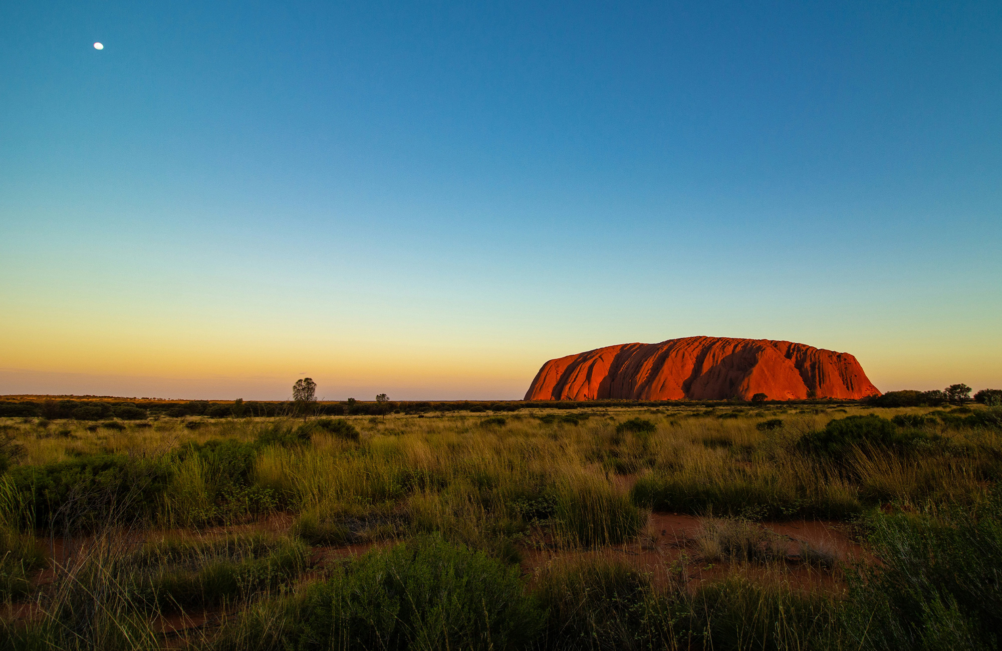 Australia Uluru Evening