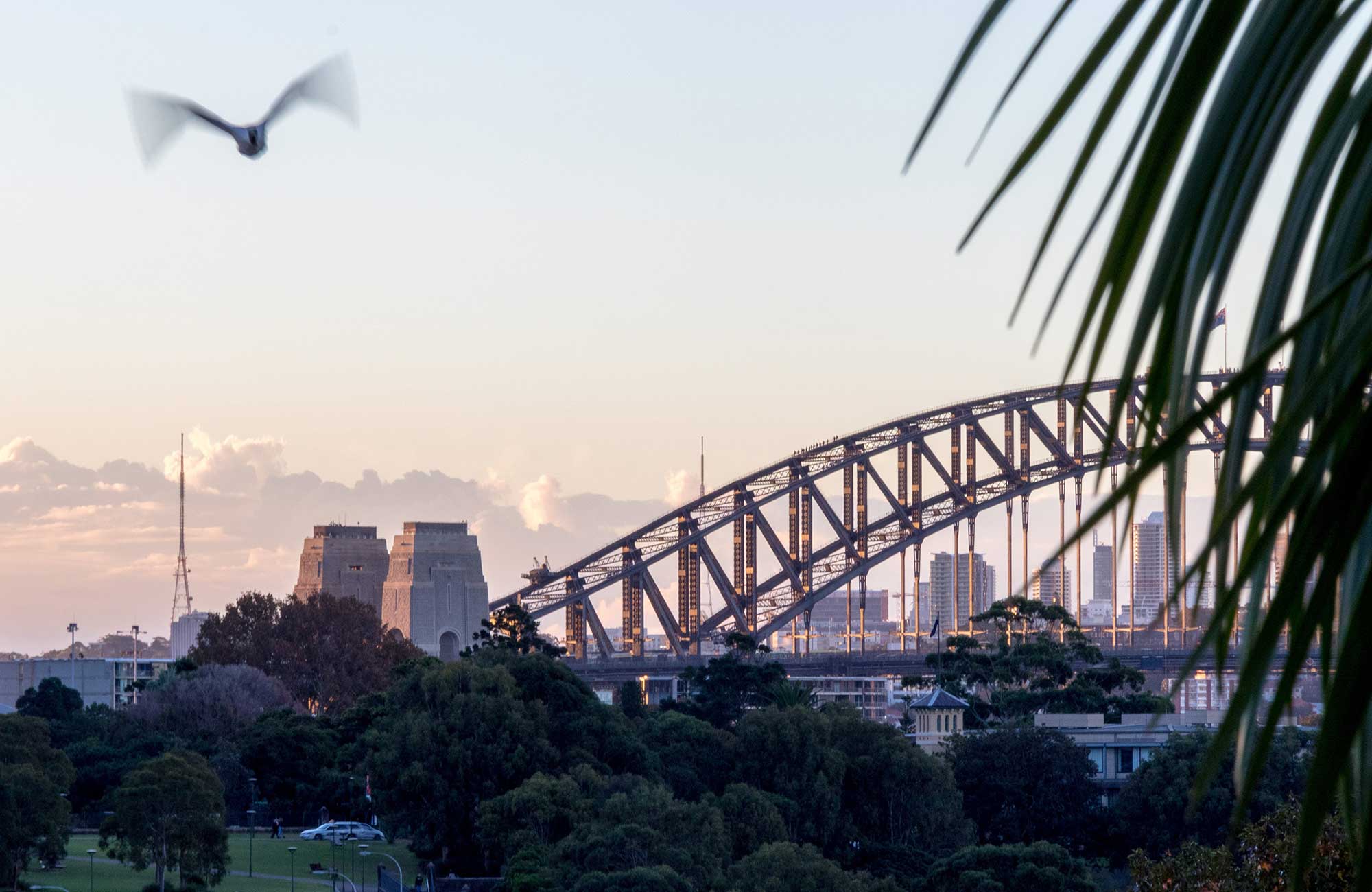 De harbour bridge in Sydney | KILROY